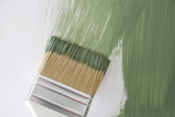 Mold Odor Removal Services in Paonia, CO
