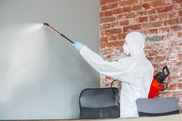 Best Airborne Mold Testing  in Paonia, CO