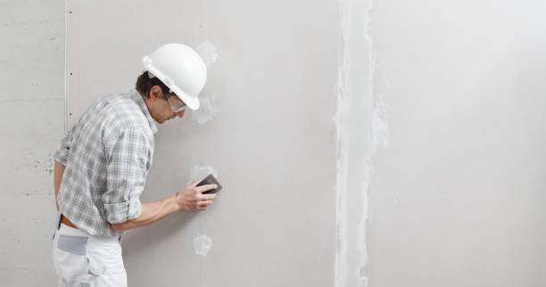 Best Real Estate Mold Inspection  in Paonia, CO
