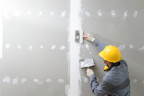  Paonia, CO Mold Removal Pros
