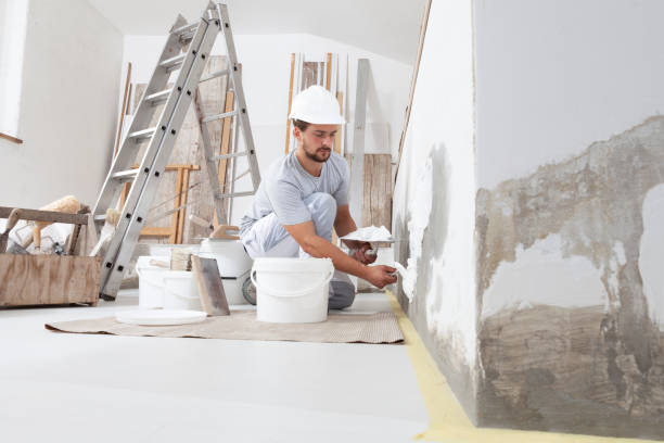 Best Biohazard Mold Removal  in Paonia, CO
