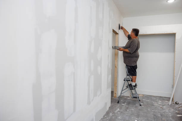 Best Comprehensive Air Testing for Mold Contaminants  in Paonia, CO