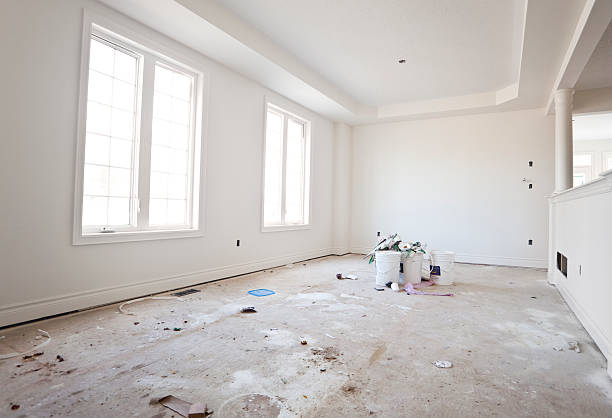 Best Mold Odor Removal Services  in Paonia, CO