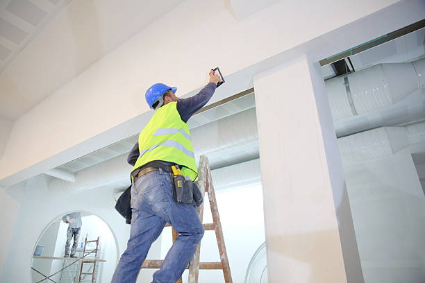 Best Asbestos and Lead Testing During Mold Inspection  in Paonia, CO