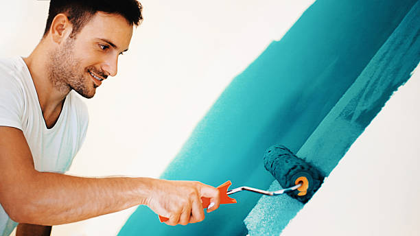 Best Mold Remediation for Healthcare Facilities  in Paonia, CO