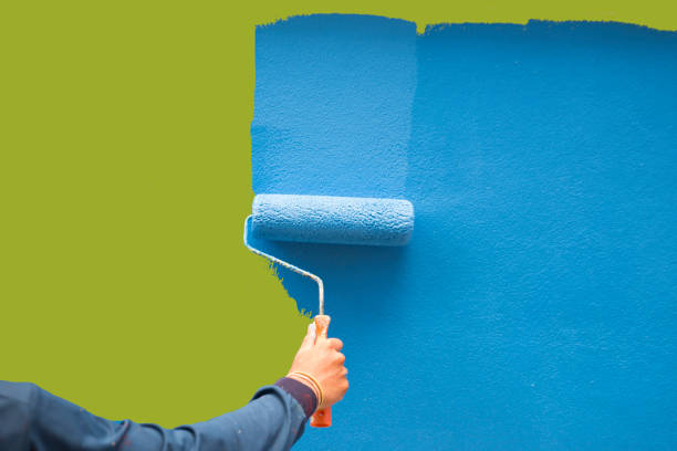 Best Black Mold Removal  in Paonia, CO