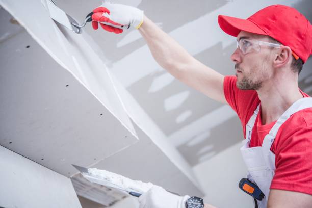 Best Mold Removal for HVAC Installations  in Paonia, CO