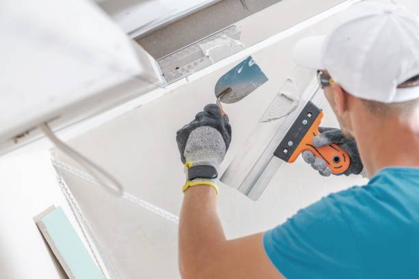 Best Residential Mold Inspection & Testing  in Paonia, CO